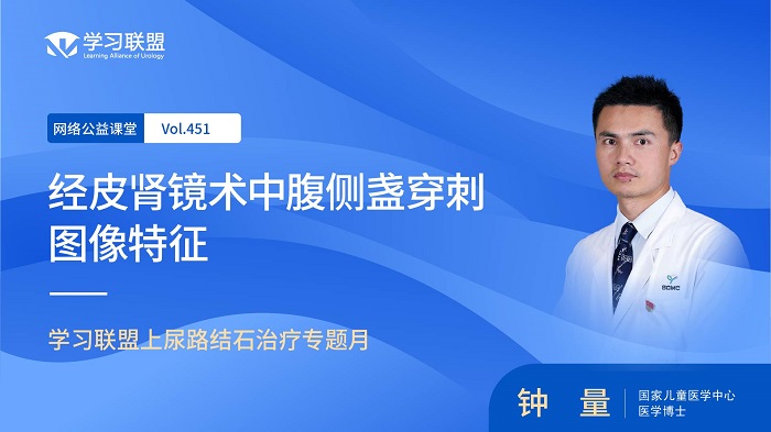 第451期 钟量 | 经皮肾镜术中腹侧盏穿刺图像特征