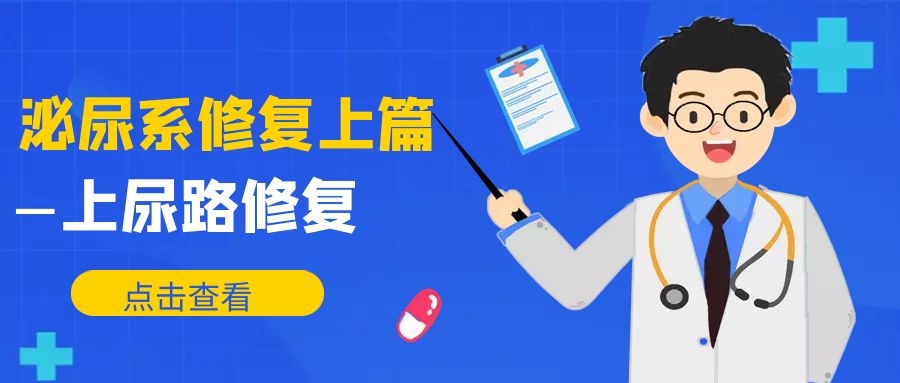 泌尿系修复策略上篇-上尿路修复