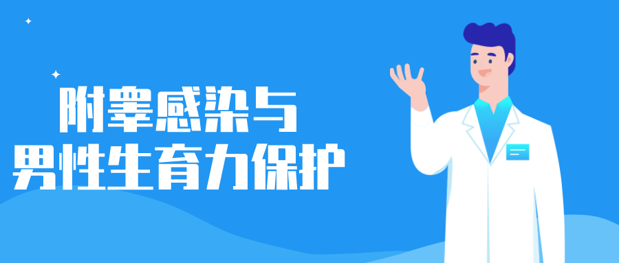 刘贵中 | 附睾感染与男性生育力保护