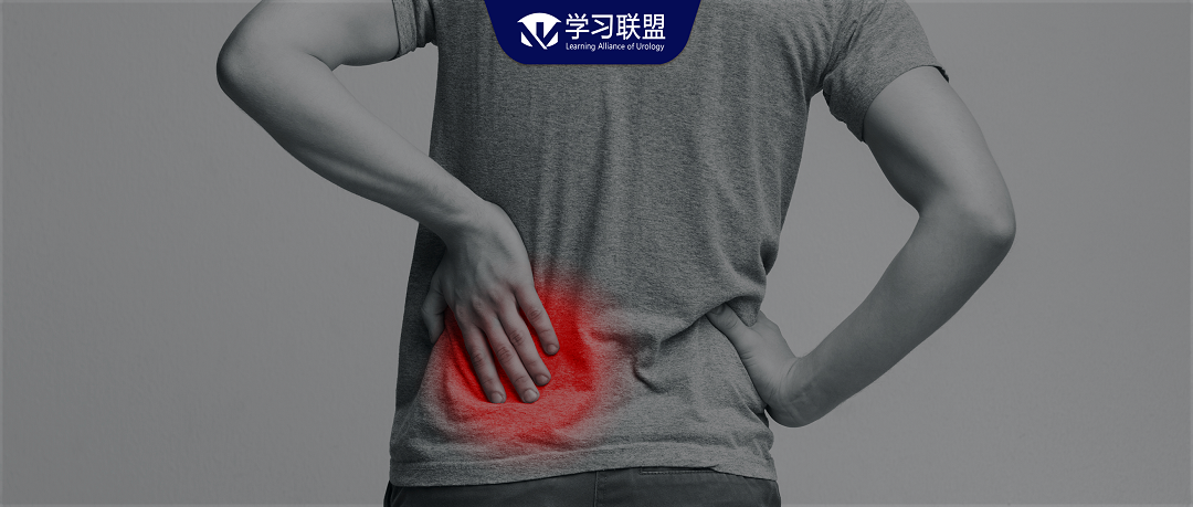 明知山有虎，偏向虎山行——肾斗士VS肾结石