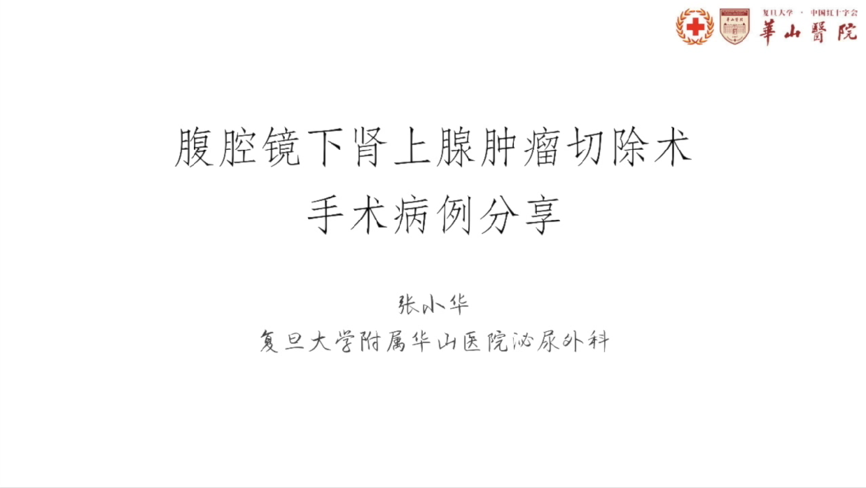 腹腔镜下肾上腺肿瘤切除术（腹膜后途径经典三层面技术）——张小华