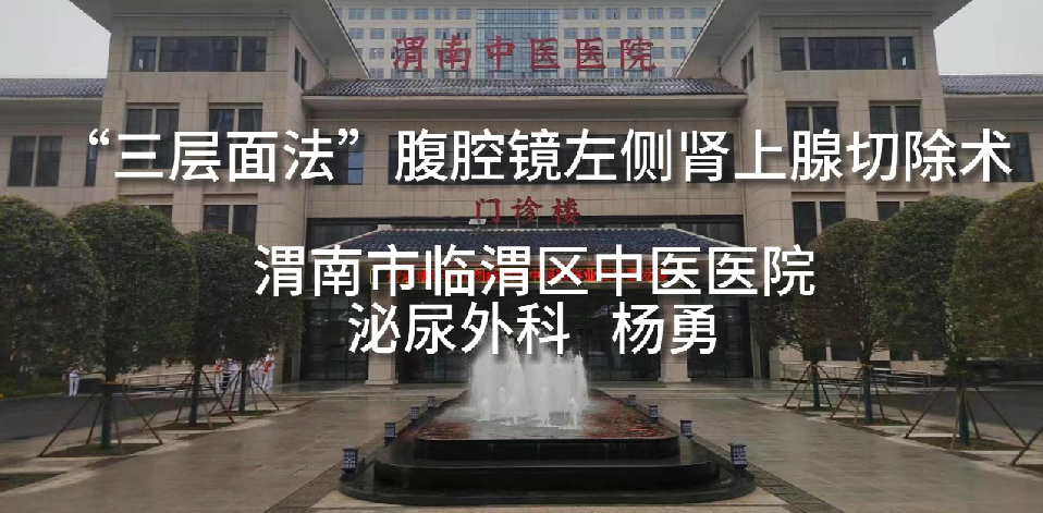 手术分享 | “三层面法”腹腔镜左侧肾上腺肿瘤切除术