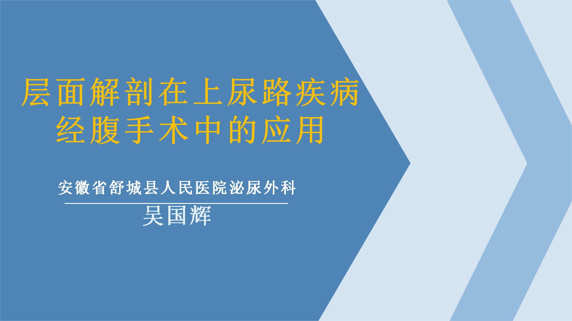 层面解剖在无功能肾切除术中的应用-吴国辉