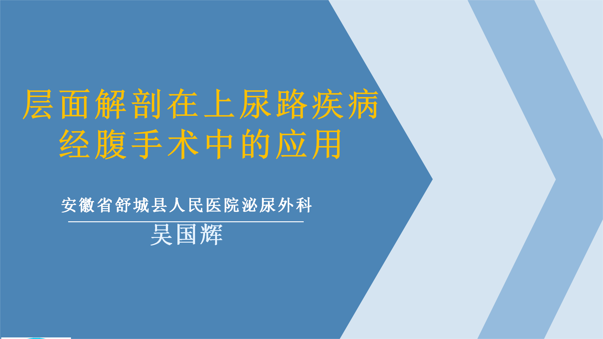 层面解剖在NSS的应用-吴国辉