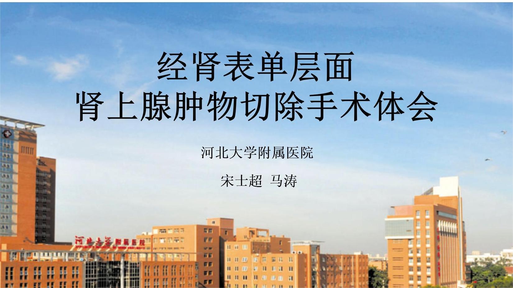 经肾表单层面肾上腺肿物切除手术体会