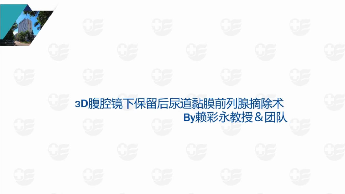 3D腹腔镜下保留后尿道黏膜前列腺摘除术