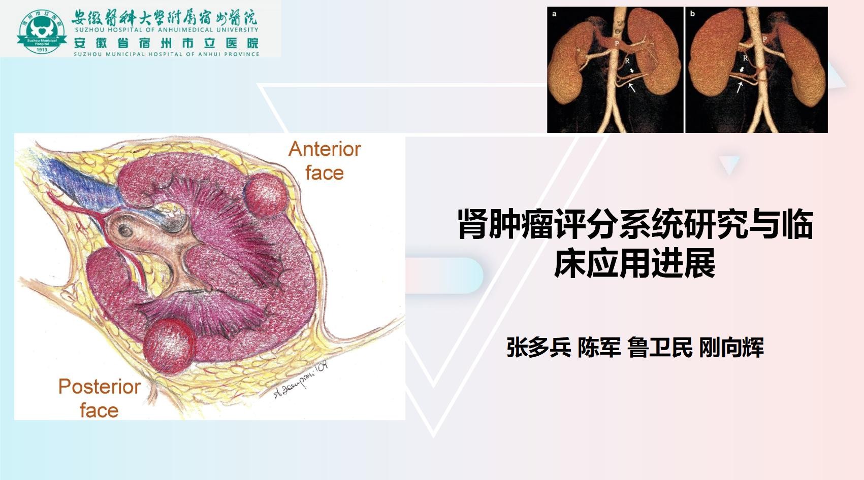 肾肿瘤评分系统研究与临床应用进展